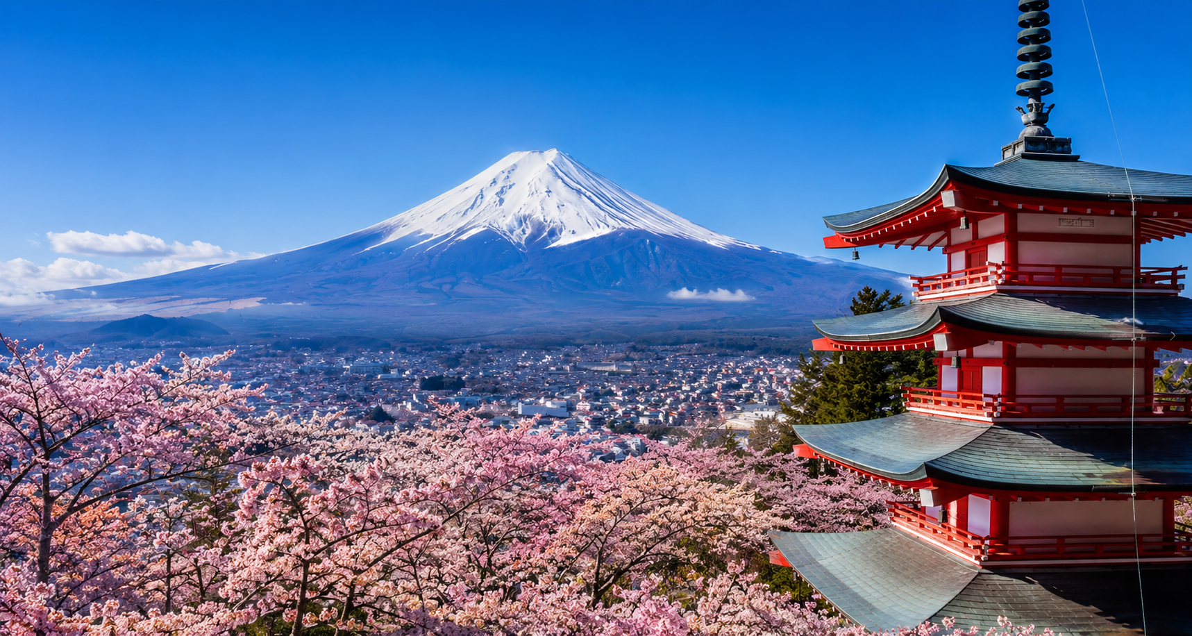 Start Your Japanese Journey